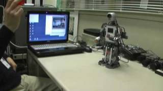 Humanoid walking and tracking a ball Lego Mindstorms NXT [upl. by Arbas923]