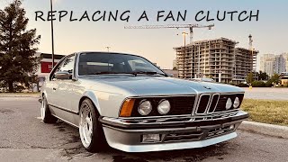 I replaced my fan clutch on the Shark E24 [upl. by Phillida]