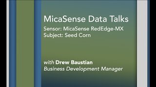 Analyzing a Seed Corn Field with MicaSense Data [upl. by Onibla]