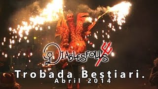 Trobada de Bestiari de Foc Palafolls 2014 [upl. by Hailey]