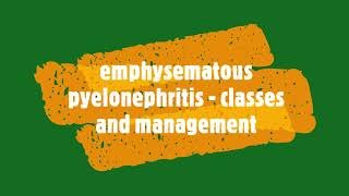 Emphysematous pyelonephritis  Classes 1 to 4management for md residents [upl. by Vins967]