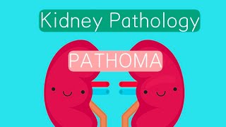 Kidney Pathology PATHOMA 1  Congenital abnormalities  Acute Renal Failure [upl. by Hartwell]