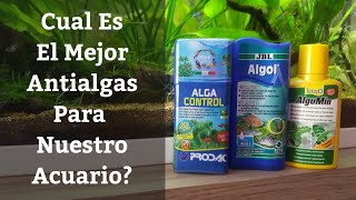 🔵 El Mejor Antialgas Comercial Para Tu Acuario Acuarios MB [upl. by Anerehs919]