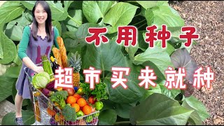 【种植30】10种不用种子就能种的菜，超市买来的菜直接种，没有根也能种，快速，趣味种菜  10 vegetables dont need to grow from seeds [upl. by Athenian]