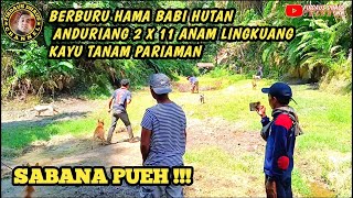 BERBURU HAMA BABI HUTAN  BURUAN ANDURING 2X11 ANAM LINGKUANG KAYU TANAM PARIAMAN [upl. by Barsky400]