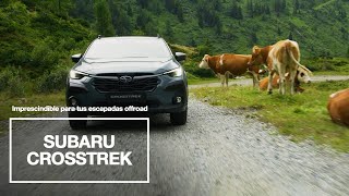 Subaru  Con Crosstrek llegarás hasta la cima más alta [upl. by Ardnassac]