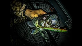 How To Troll For Walleye on Chautauqua Lake [upl. by Yrrac]