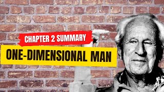 OneDimensional Man  Chapter 2 Summary Commentary and QnA [upl. by Kamilah]