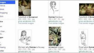 Katniss Everdeen Character Traits [upl. by Annaitsirk34]