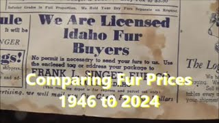 Comparing Fur Prices 1946 2024 [upl. by Shanleigh]