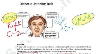 Broadbent early selection model 1958 Dichotic Listening Task Exp Cocktail party effect [upl. by Schober]