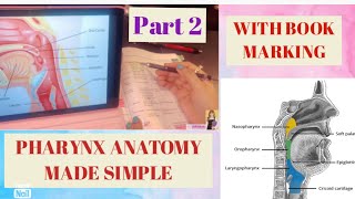 Pharynx Anatomy PART 2  Muscles amp Structure of Pharynx MADE EASY  Constrictors [upl. by Noislla]