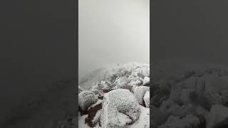 Rare snowfall blankets Cerro Tres Picos amidst fog in Buenos Aires [upl. by Palua]