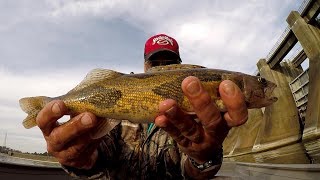 Sauger Fishing  Catching Sauger and Bass At Guntersville Dam [upl. by Ruder]