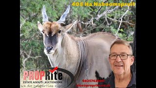 PR1346 Reduced Well developed Game Farm with Lodge Mookgopong Naboomspruit 408 ha Limpopo [upl. by Pen853]