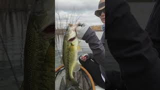 Warmbad Dam successful first bass fishing attempt [upl. by Ninehc989]