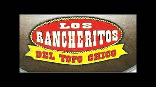 Los Rancheritos del Topochico  HUAPANGOS MIX 11 EXITOS [upl. by Darcie]