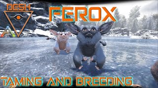 Ferox Taming and Breeding  ARKSurvival Evolved [upl. by Cohl]