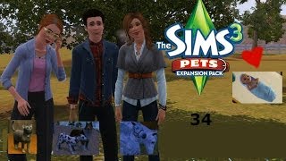 Lets Play The Sims 3 Pets  Part 34  Simcitement [upl. by Nnaecyoj417]