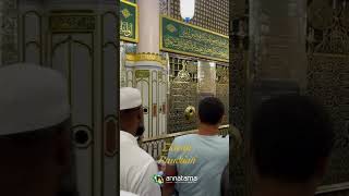 Raudhah dan Ziarah makam Rasulullah SAW umroh madina raudhah umrohyuk [upl. by Ahsehat]