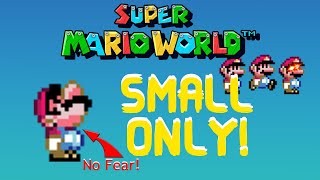 Super Mario World  SMALL ONLY [upl. by Wilkins]