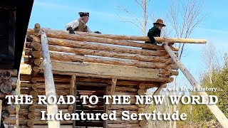 The Road to the New World  Indentured Servitude Plus More Fort Building [upl. by Elleirol]