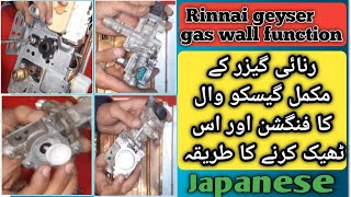 FUNCTIONS OF COMPLETE GAS WALL OF RINNAI GEYSER AND HOW TO FIX IT functions gas wall rinnai [upl. by Zerep]