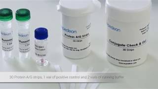 Confirm the success of your antibody conjugation in just 10 minutes [upl. by Garbers]