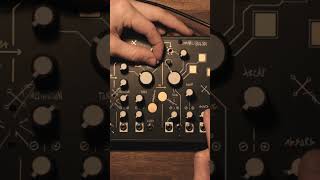 Make Noise Strega Sound Design [upl. by Camilo]