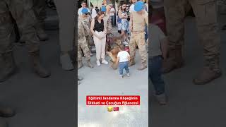 Jandarma Eğitimli Köpeğin Dikkati ve Bebeğin Eğlencesi 😂 [upl. by Krasnoff]