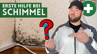 Schimmel in der Wohnung  Dieses Hausmittel kann dich schützen [upl. by Alyn]