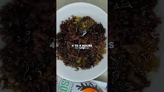 How to make Irish sea moss gel Chondrus Crispus species seamossgel irishseamoss vegan food [upl. by Erdua]