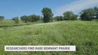 Researchers discover rare remnant prairie in north Ames [upl. by Blaire]