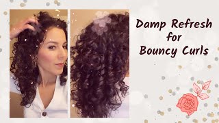 My Favorite 5Minute Curly Hair Refresh Routine [upl. by O'Doneven38]