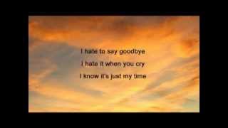 Energy Orchard  I Hate To Say Goodbye   lyrics 1995 [upl. by Livvy]