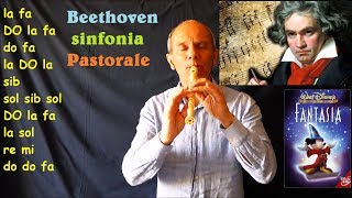 Beethoven  Sinfonia n°6 PASTORALE Canto di ringraziamento [upl. by Rohn]