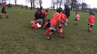 Whitchurch U10s v Oswestry [upl. by Ahsienor]