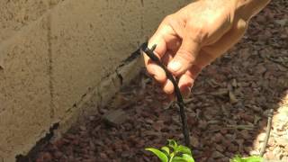 How To Fix A Drip Irrigation System [upl. by Ardnasak]