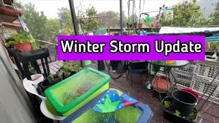 Winter Storm Hail High Winds Rain Update on Vegetable Garden amp Feeding Hummingbirds Bird Feeder [upl. by Riek]