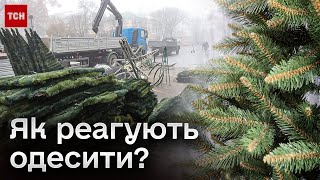 🎄 В Одесі таки встановлюють новорічну ялинку  ВЖЕ [upl. by Hovey]