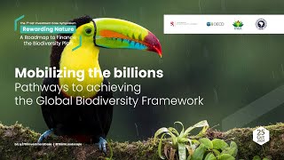 Mobilizing the billions Pathways to achieving the Global Biodiversity Frameworkdraft [upl. by Turne]