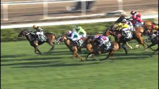 HKIR 2011 ABLE ONE won The Cathay Pacific Hong Kong Mile 2011 [upl. by Flossie446]