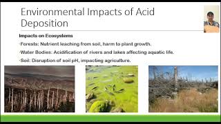 Understanding Acid Deposition and Its Impact [upl. by Enyawd782]