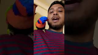 In conversation with Lorikeet 🦜😍 This is pure 🥰  Talking Parrot [upl. by Eirhtug883]