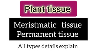 Plant tissue  meristmatic tissue  permanent tissue  all types details explain newlecture [upl. by Klump351]