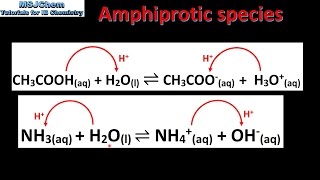 81 Amphiprotic species SL [upl. by Yreffeg895]