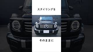 新型Gクラス G450dローンチエディションとは？ ゲレンデ ベンツ Gクラス [upl. by Alomeda]