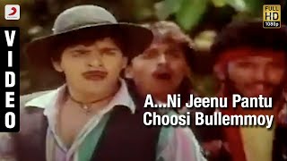 Yamaleela  ANi Jeenu Pantu Choosi Bullemmoy Video Telugu  Ali Indraja [upl. by Doelling]