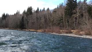 Floating the Bogachiel River Forks WA [upl. by Rondi248]