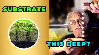 The Truth About Natural Deep Substrate Dirted Aquariums [upl. by Reneta]